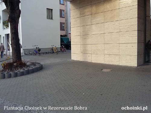 Oferta wolnej powierzchni handlowej przy Galerii Corso w Świnoujściu