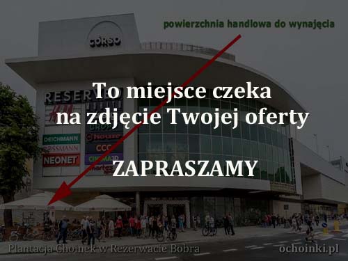Obrazek tymczasowy - zapraszamy!