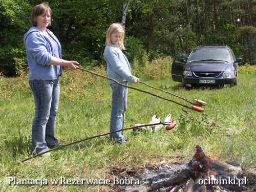 Grill na terenie przyszłej Plantacji w Rezerwacie Bobra - ochoinki.pl