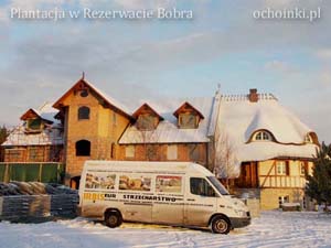 Plantacja choinek - budynki