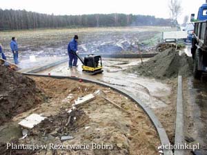 Wykonanie wjazdu na plantację choinek