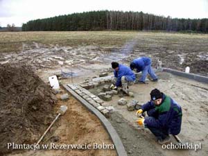 Wykonanie wjazdów na plantację choinek