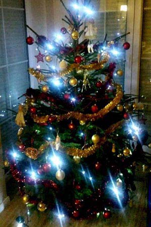 Trzecia nagroda w konkursie 'Najpiękniejsza Choinka 2017'