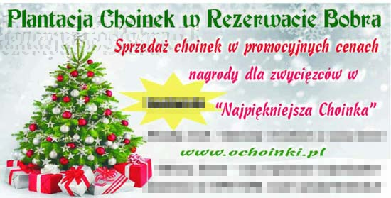 banner konkursu 'Najpiękniejsza Choinka'