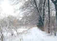 Trzebnica - krajobraz zimowy  (16042 bytes)