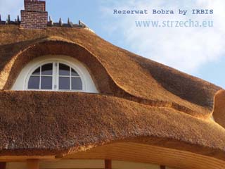 IRBIS Strzecharstwo - nasze dachy to nie tylko fantazja i ekologia, to przede wszystkim bezpieczestwo i trwao!