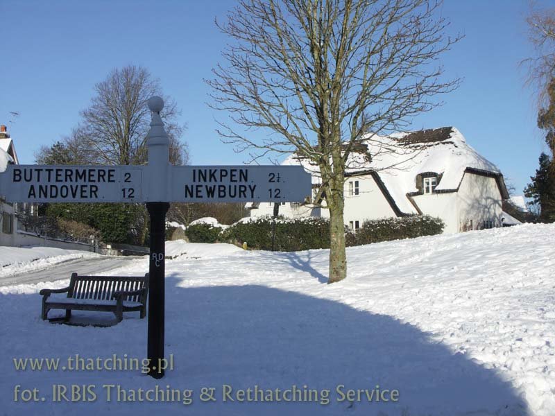 irbis_thatching_snow_08.jpg